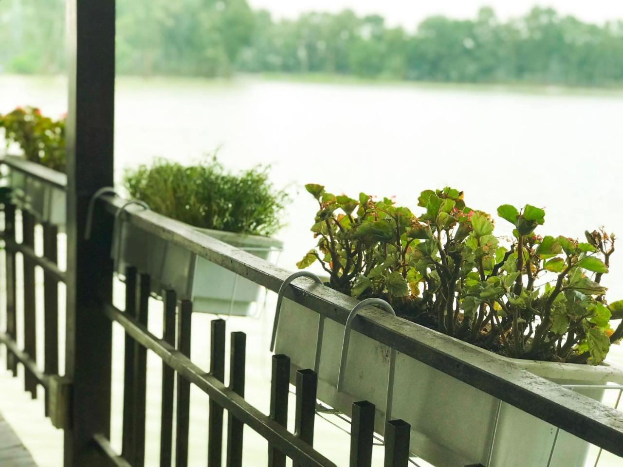 Vinh Gia Airport Lakeview Hostel Ханой Экстерьер фото